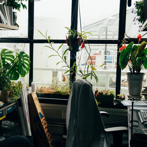 The Home Office
