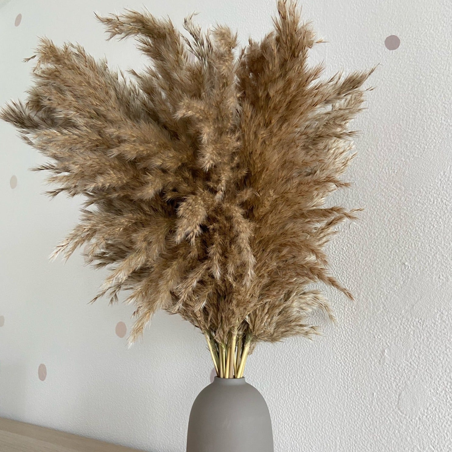 Varied Dried Pampas Grass