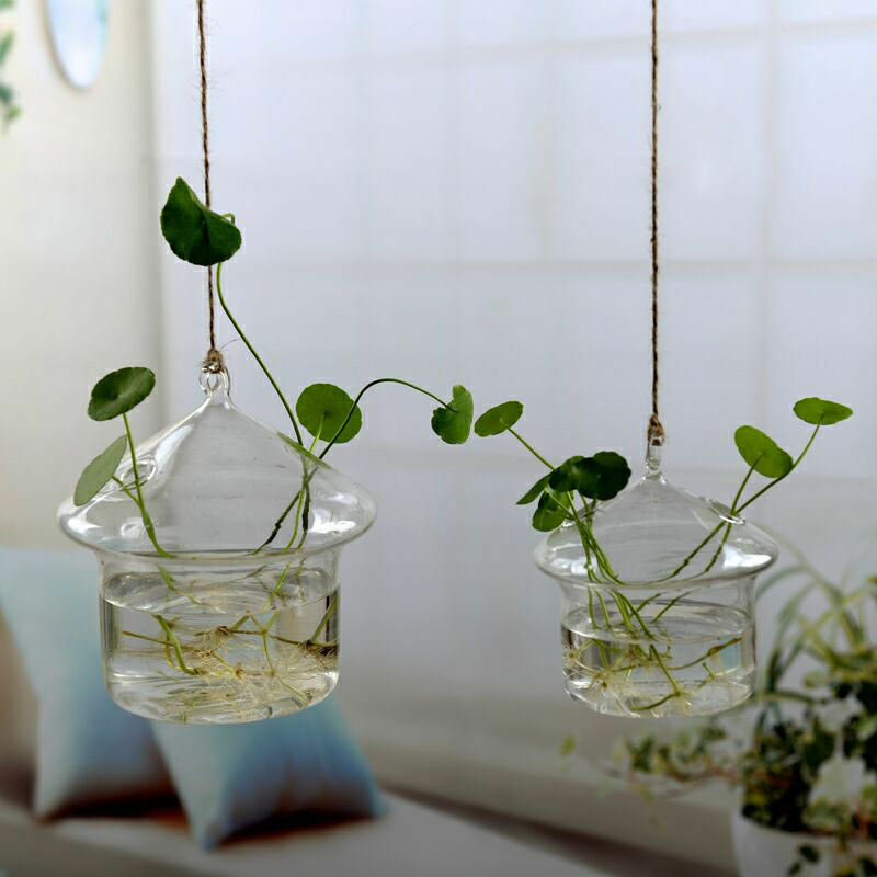 Hanging Glass Terrarium