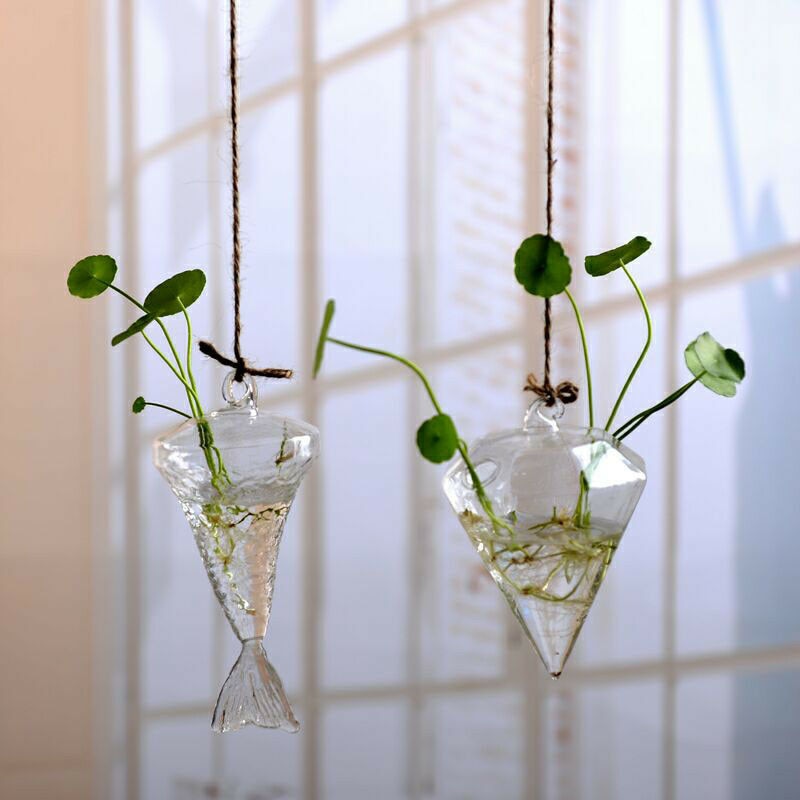 Hanging Glass Terrarium