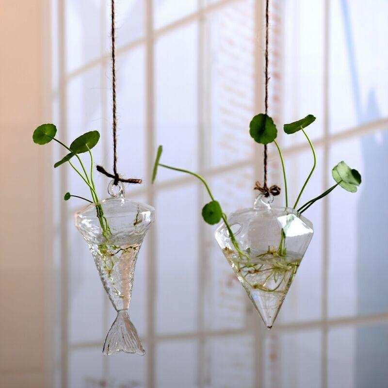 Hanging Glass Terrarium