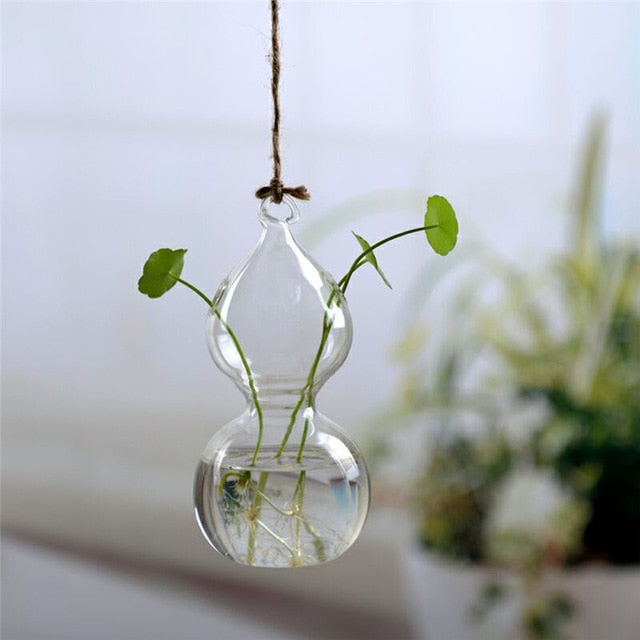 Hanging Glass Terrarium