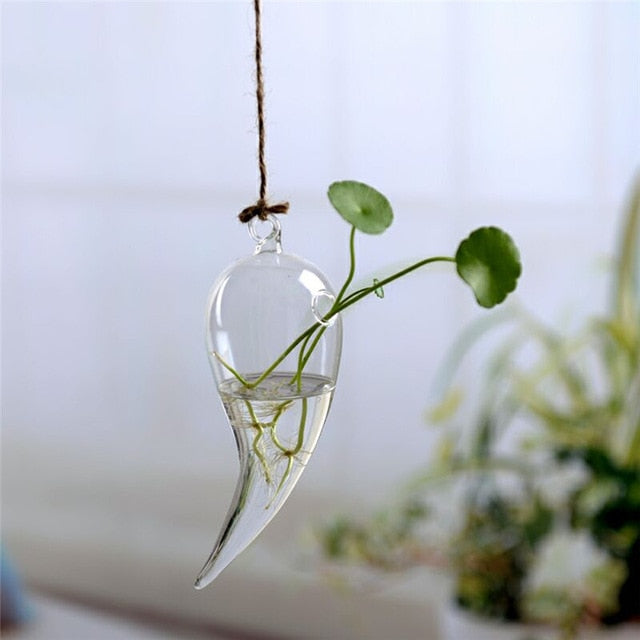 Hanging Glass Terrarium