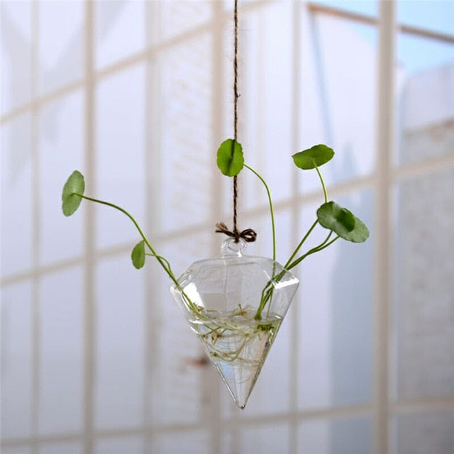 Hanging Glass Terrarium