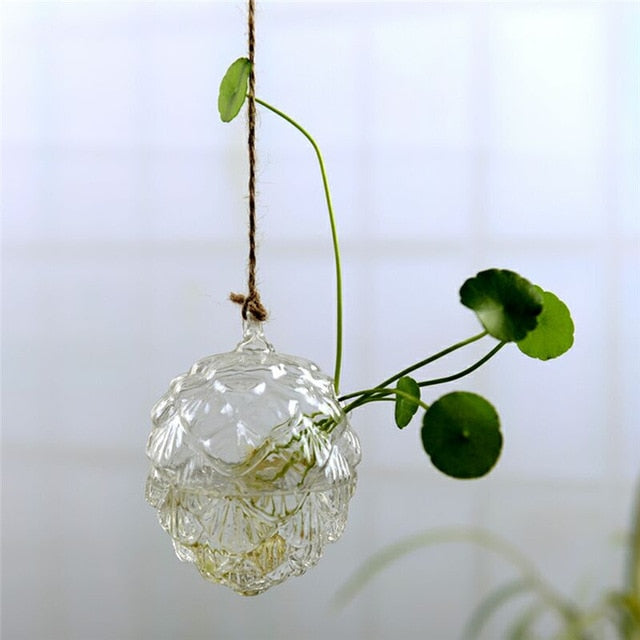 Hanging Glass Terrarium