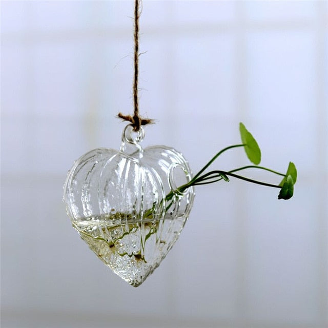 Hanging Glass Terrarium