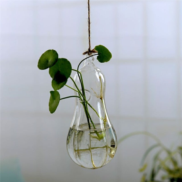 Hanging Glass Terrarium