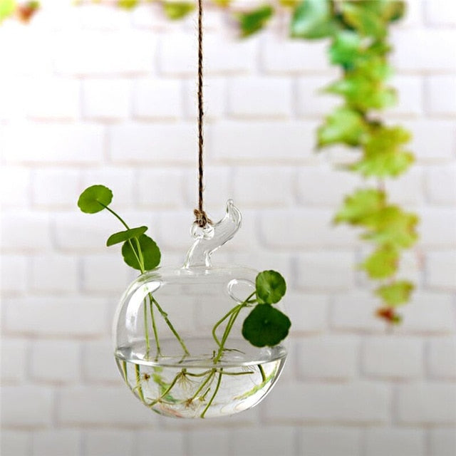 Hanging Glass Terrarium