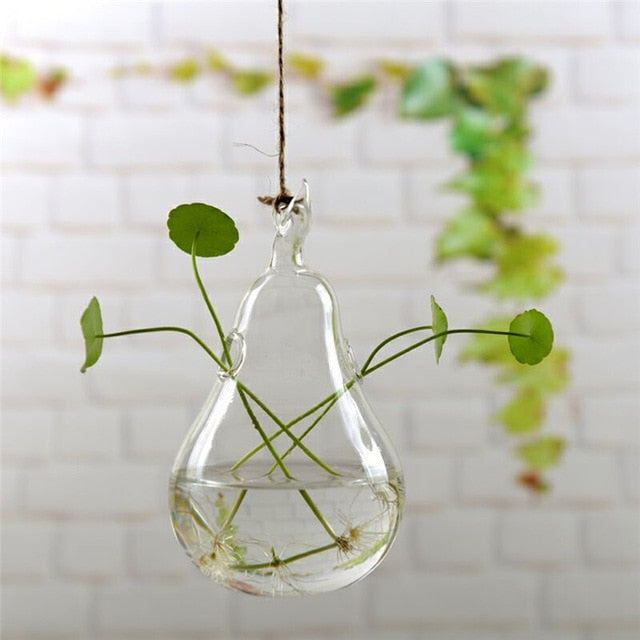 Hanging Glass Terrarium