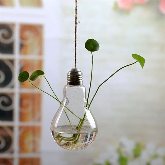 Hanging Glass Terrarium