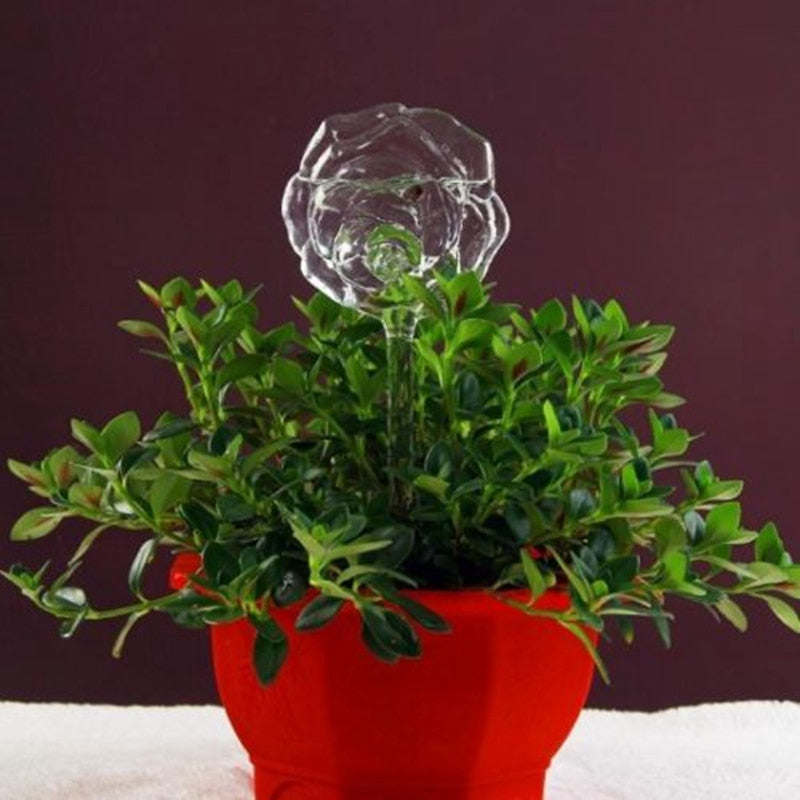 Glass Automatic Water Feeder