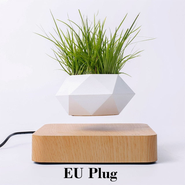 Levitating Plant Pot