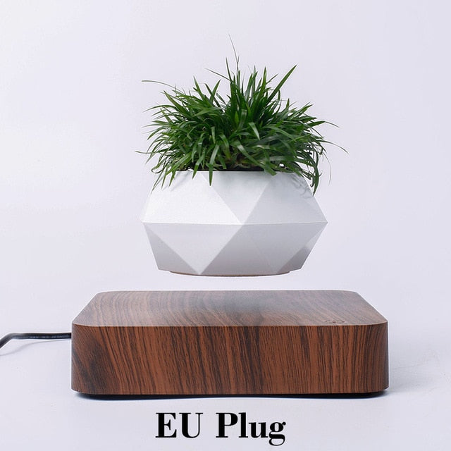 Levitating Plant Pot