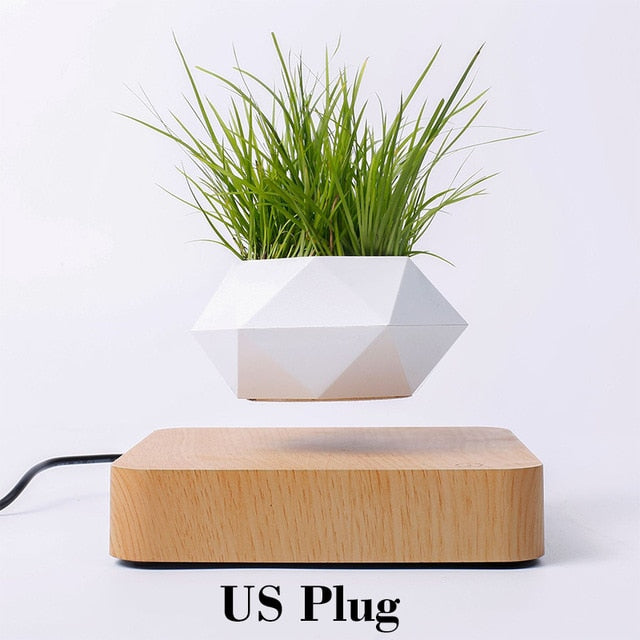 Levitating Plant Pot