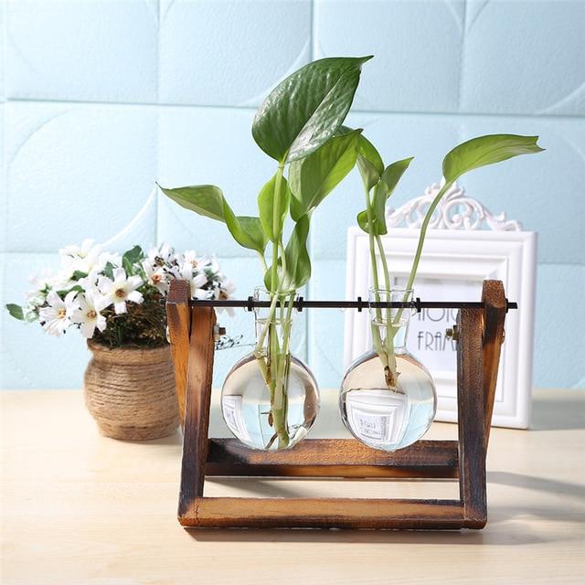 Hinged Terrariums