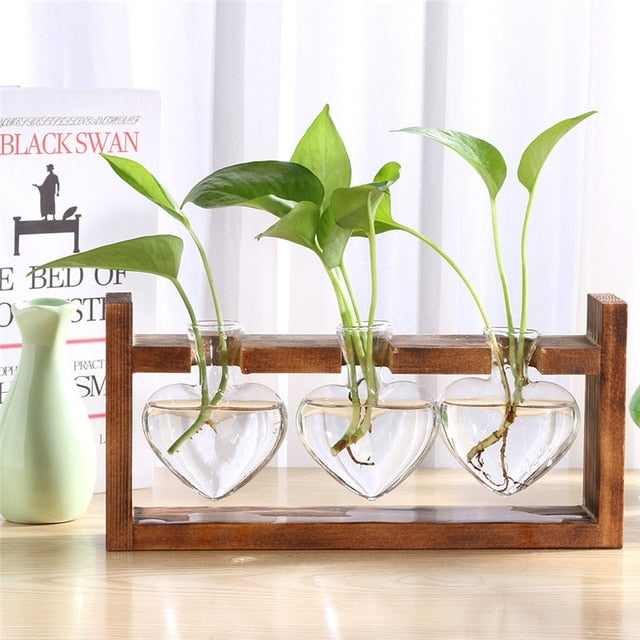 Glass Planter Terrariums