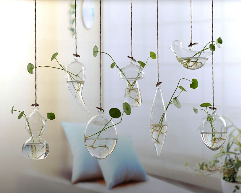 Hanging Glass Terrarium