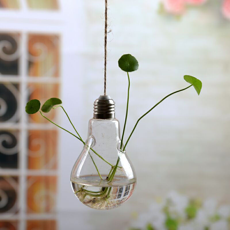 Hanging Glass Terrarium