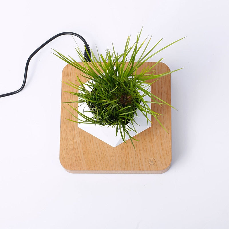 Levitating Plant Pot