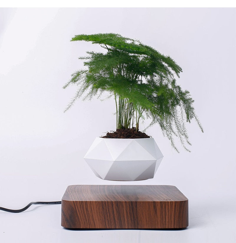 Levitating Plant Pot