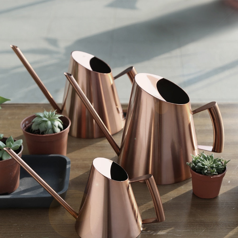 Stainless Steel Watering Can