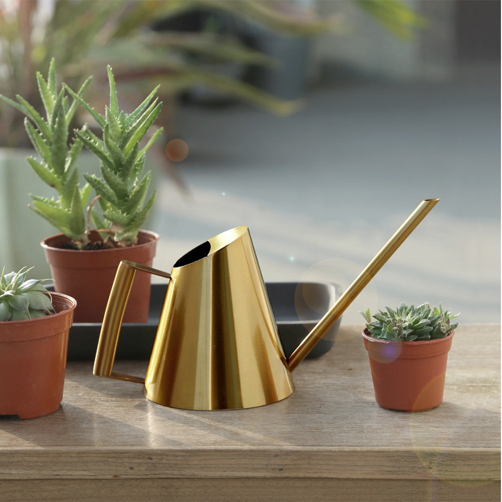 Stainless Steel Watering Can