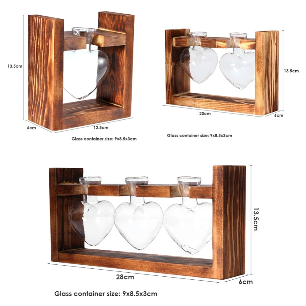 Glass Planter Terrariums