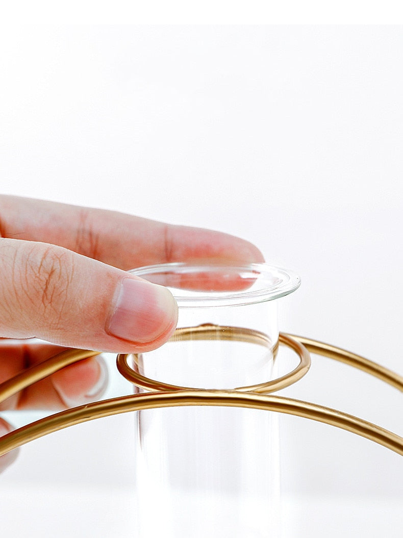 Circular Nordic Terrarium