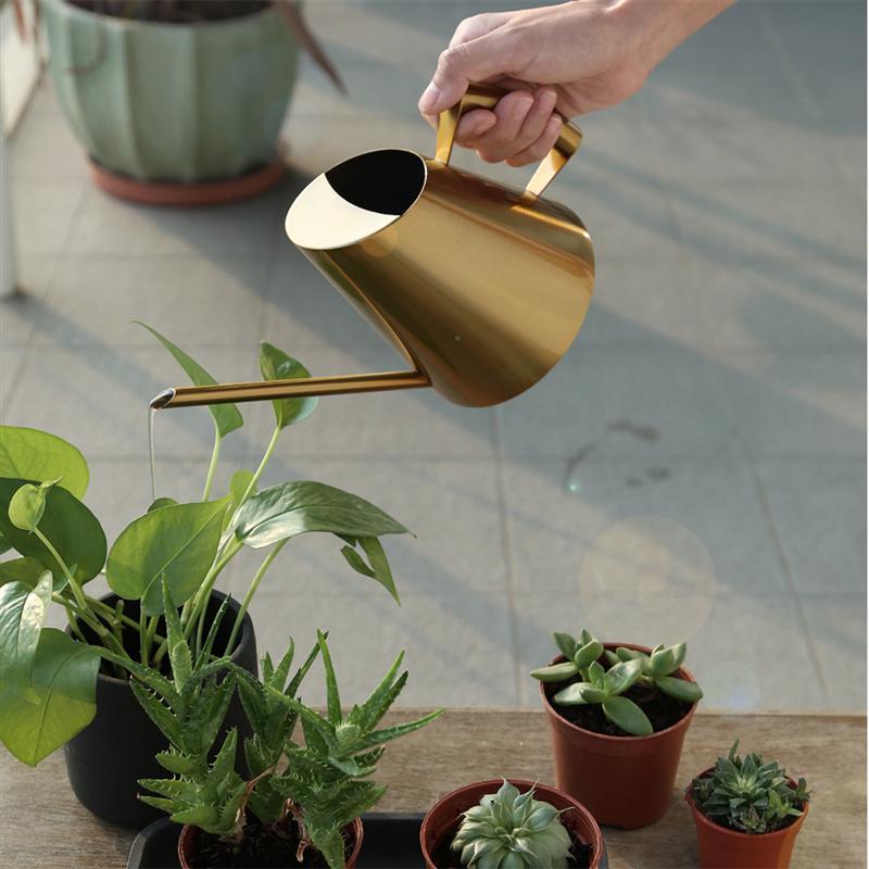 Stainless Steel Watering Can