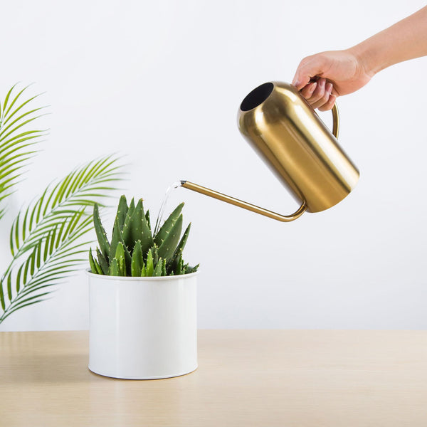 Tall Stainless Steel Watering Can