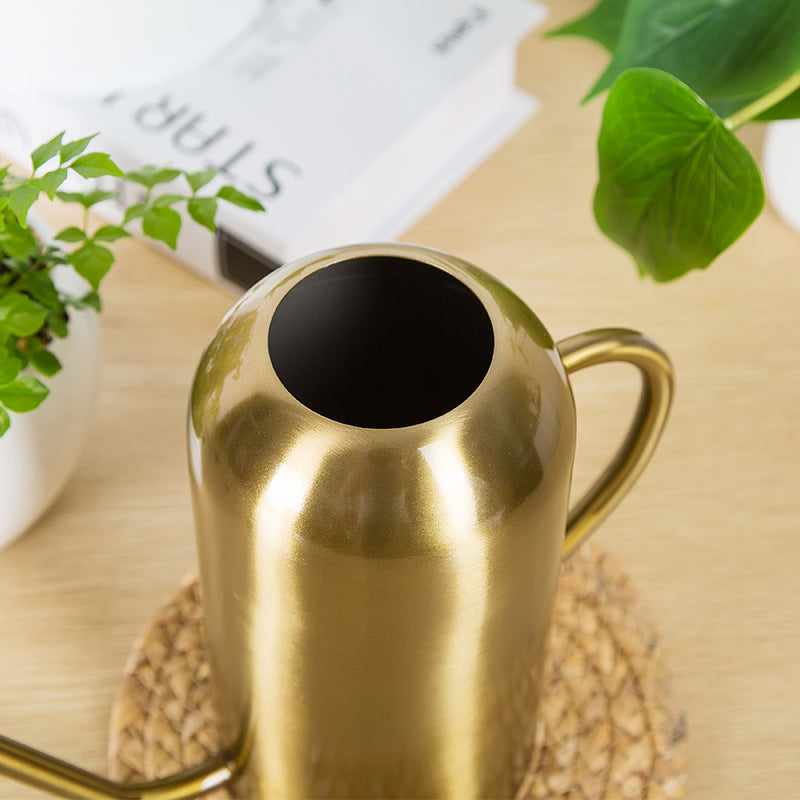 Tall Stainless Steel Watering Can
