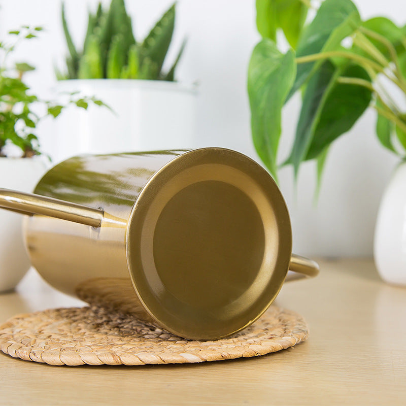 Tall Stainless Steel Watering Can