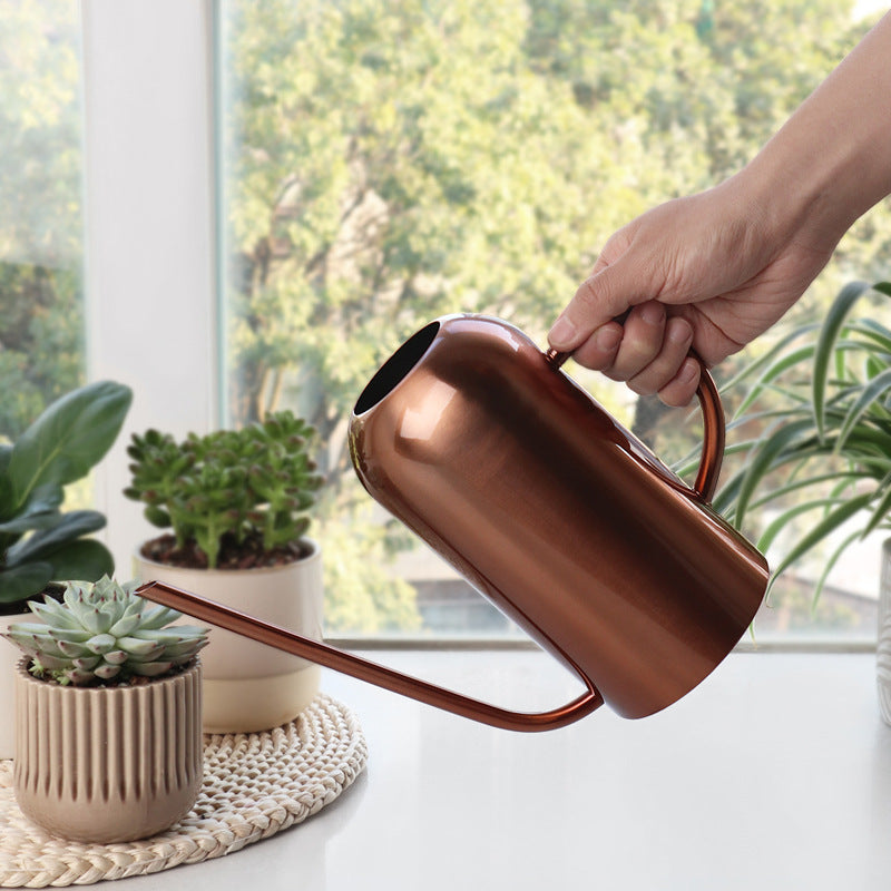 Tall Stainless Steel Watering Can