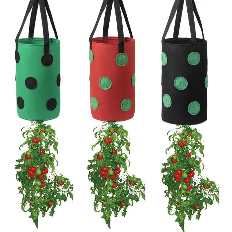 Strawberry Grow Bags