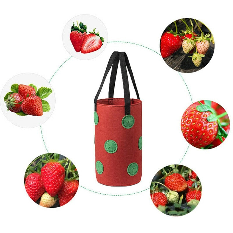 Strawberry Grow Bags