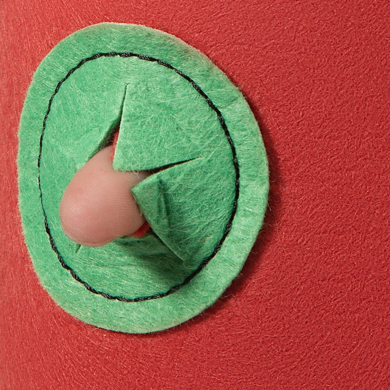 Strawberry Grow Bags