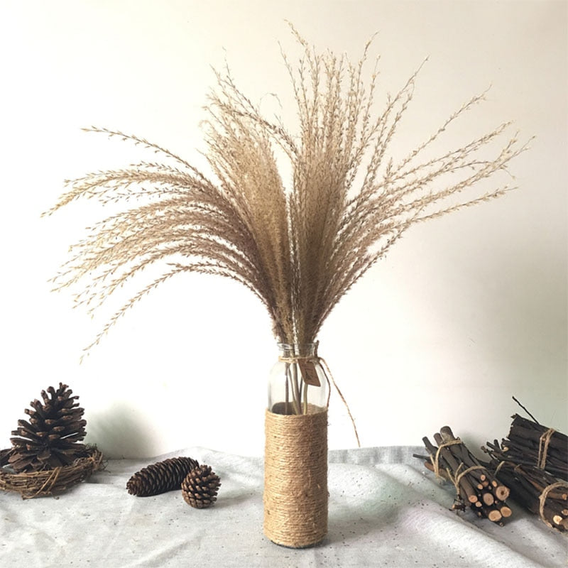 Varied Dried Pampas Grass