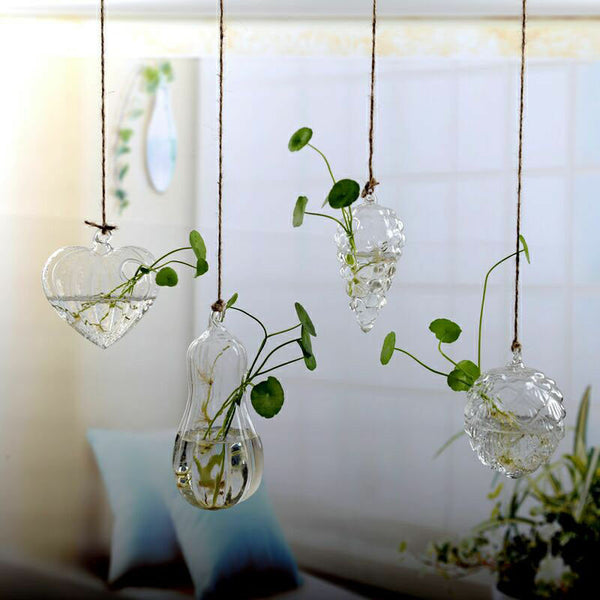Hanging Glass Terrarium