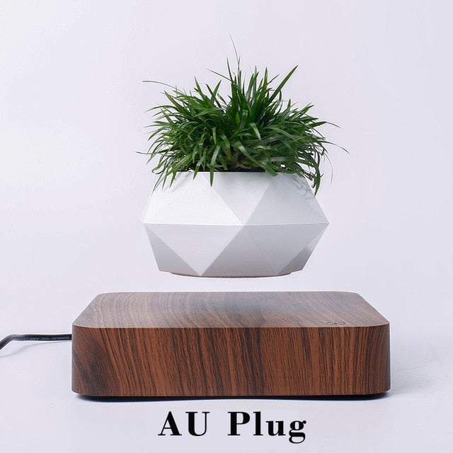Levitating Plant Pot