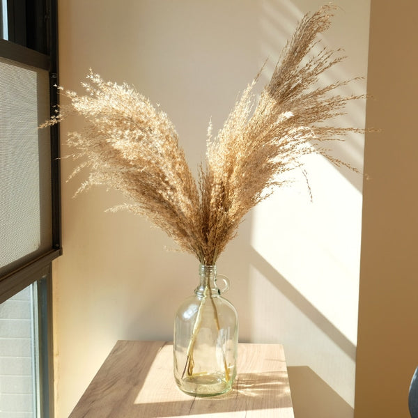 Natural Raw Dried Pampas Grass