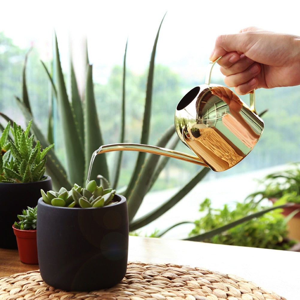 Round Stainless Steel Watering Can