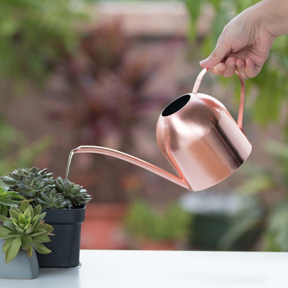 Round Stainless Steel Watering Can