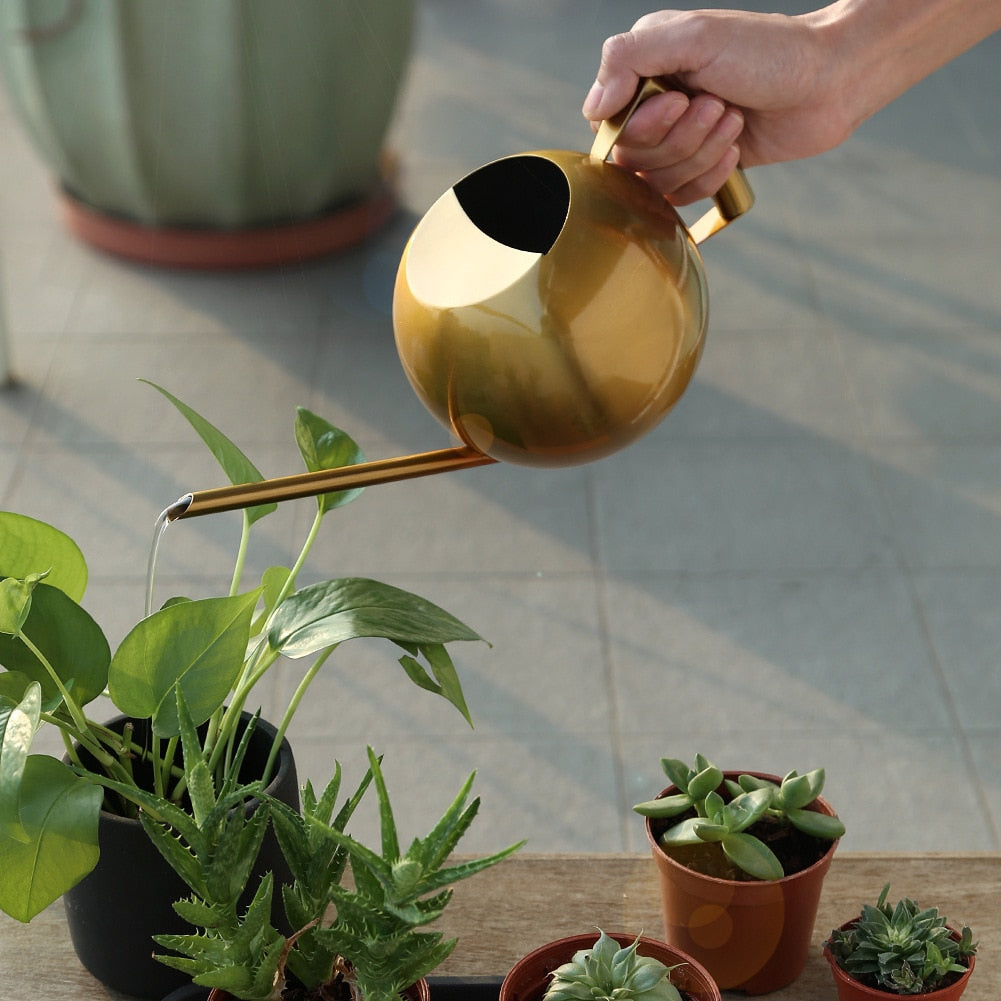 Round Stainless Steel Watering Can