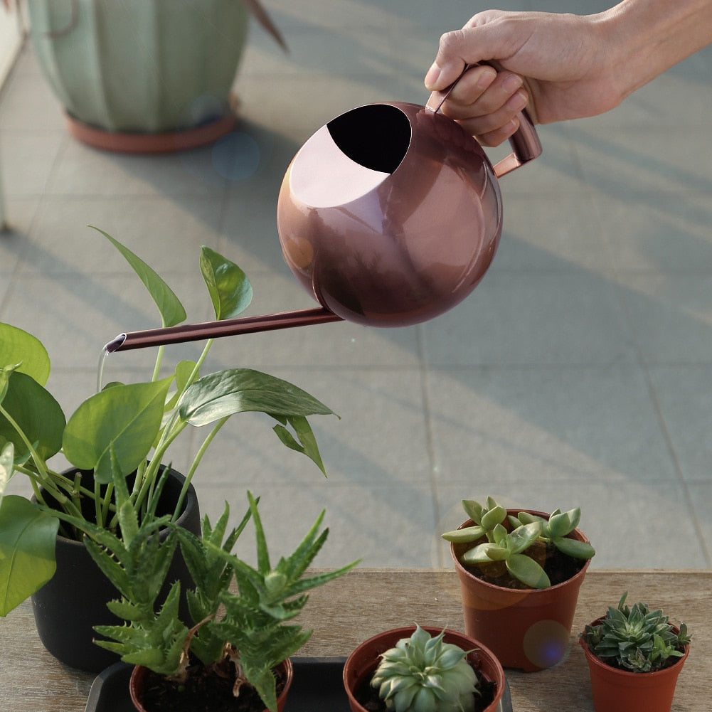 Round Stainless Steel Watering Can