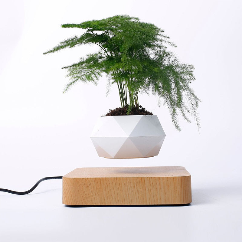 Levitating Plant Pot