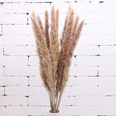 Natural Dried Bunny Tail Grass